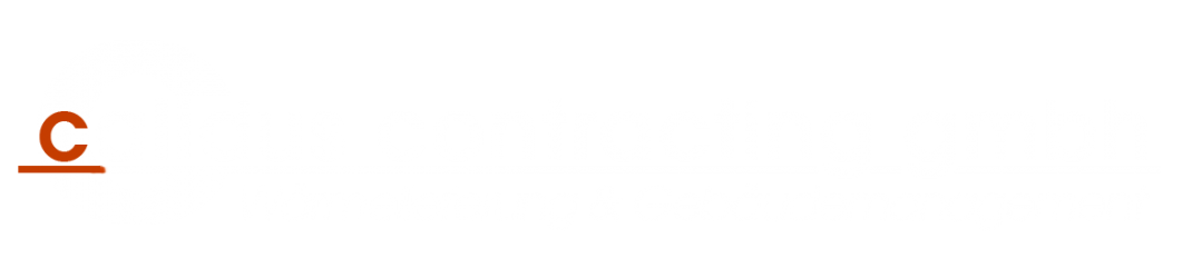 calidus contracting GmbH